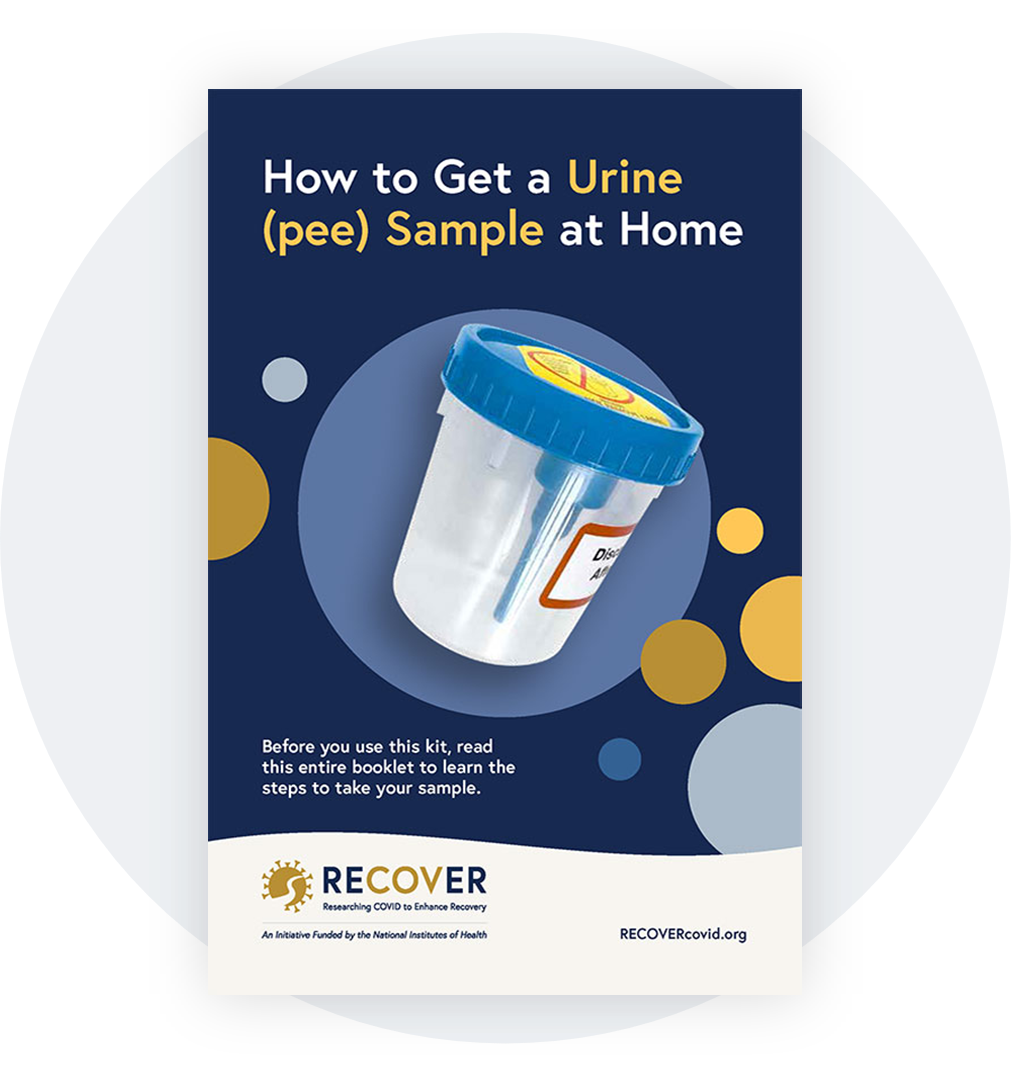 Adult Instructions to Take a Urine Sample